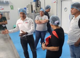 Open CITE en Loreto impulsa innovación y tecnología para Mipyme amazónicas