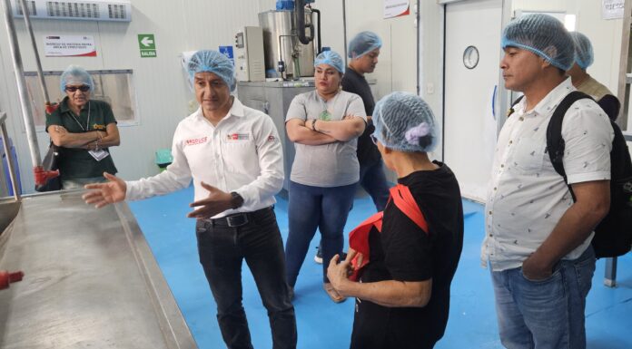 Open CITE en Loreto impulsa innovación y tecnología para Mipyme amazónicas