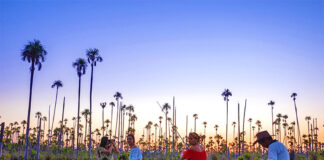 Semana Santa generaría un impacto de US$220 millones con 1.9 millones de turistas internos