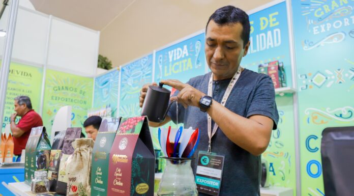 Perú: Mypes fortalecen su gestión con nuevas normas técnicas del sector producción