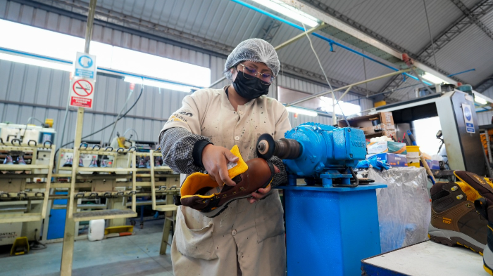 MYPE aportan el 20.6 % al PBI y generan más de 10 millones de empleos en el Perú MYPE aportan el 20.6 % al PBI y generan más de 10 millones de empleos en el Perú