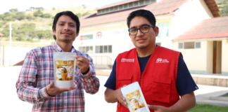 Emprendedor piurano convierte pulpa de mango en polvo de alto valor