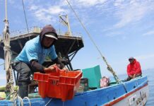 Fenómeno El Niño: Más de 112 mil trabajadores de la manufactura pesquera en Piura requieren medidas de preparación