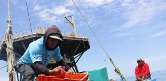 Fenómeno El Niño: Más de 112 mil trabajadores de la manufactura pesquera en Piura requieren medidas de preparación