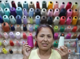 Emprendimiento en Perú: financiamiento y miedo al fracaso frenan nuevos negocios