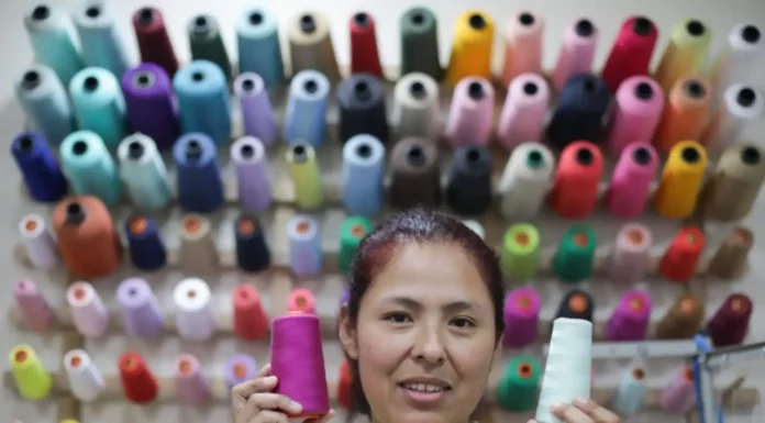Emprendimiento en Perú: financiamiento y miedo al fracaso frenan nuevos negocios Emprendimiento en Perú: financiamiento y miedo al fracaso frenan nuevos negocios