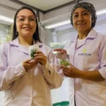 ProInnóvate financió cerca de 6.500 proyectos de innovación en mipymes con una inversión de S/ 618 millones ProInnóvate financió cerca de 6.500 proyectos de innovación en mipymes con una inversión de S/ 618 millones