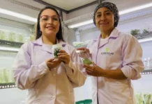 ProInnóvate financió cerca de 6.500 proyectos de innovación en mipymes con una inversión de S/ 618 millones