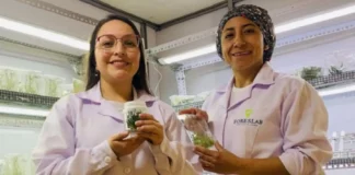 ProInnóvate financió cerca de 6.500 proyectos de innovación en mipymes con una inversión de S/ 618 millones