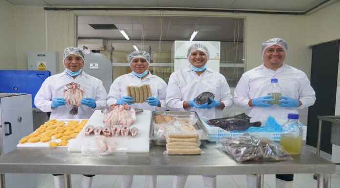 CITEproductivo San Martín ofrece capacitación gratuita para mypes agroindustriales y acuícolas CITEproductivo San Martín ofrece capacitación gratuita para mypes agroindustriales y acuícolas