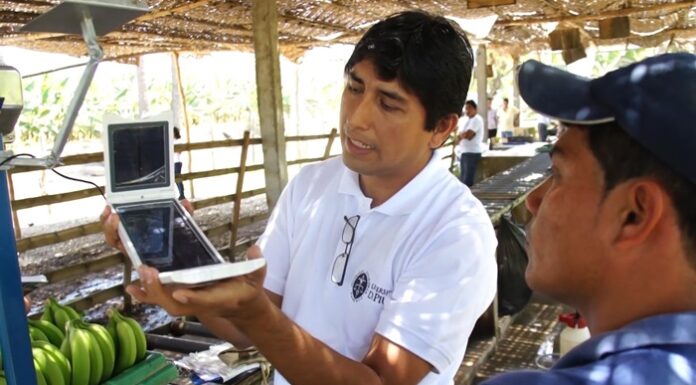 ProInnóvate destinó más de S/ 452 millones para impulsar la innovación de 4,348 proyectos