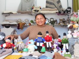 Estudios sobre fibra, genética y sanidad buscan mejorar la producción de alpaca en Puno Estudios sobre fibra, genética y sanidad buscan mejorar la producción de alpaca en Puno