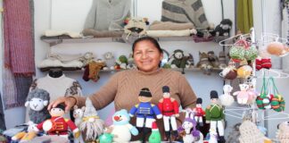 Estudios sobre fibra, genética y sanidad buscan mejorar la producción de alpaca en Puno Estudios sobre fibra, genética y sanidad buscan mejorar la producción de alpaca en Puno