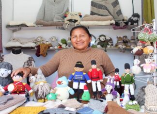 Estudios sobre fibra, genética y sanidad buscan mejorar la producción de alpaca en Puno