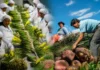 Perú: uno de cada tres empleos formales está vinculado a las exportaciones Perú: uno de cada tres empleos formales está vinculado a las exportaciones