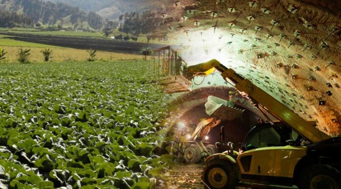 Piura puede recuperar protagonismo económico con proyectos de minería formal, sostiene economista Piura puede recuperar protagonismo económico con proyectos de minería formal, sostiene economista
