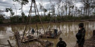 Minería informal debe ser una prioridad en la agenda del próximo Gobierno Regional, advierte especialista
