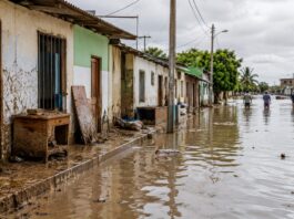 Fenómeno El Niño: viviendas, establecimientos de salud e instituciones educativas necesitan medidas de prevención