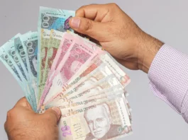 Sunafil recibió más de 9,600 denuncias por falta de pago de gratificación en el último año Sunafil recibió más de 9,600 denuncias por falta de pago de gratificación en el último año