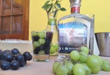 Producción de pisco reúne a 500 empresas formales y el 97 % son mypes