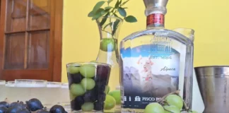 Producción de pisco reúne a 500 empresas formales y el 97 % son mypes
