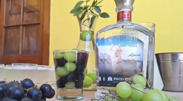 Producción de pisco reúne a 500 empresas formales y el 97 % son mypes