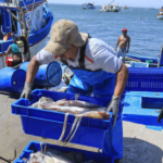 Gobierno anuncia inversión para pesca, acuicultura y apoyo a mypes