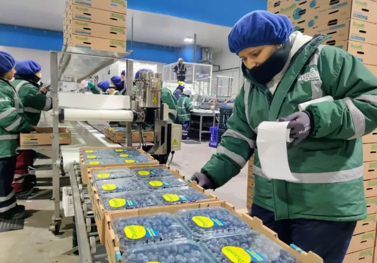 Exportaciones peruanas generan más de 1.5 millones de empleos directos a julio de 2026